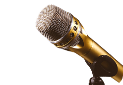 Категория исполнителя Ведущие