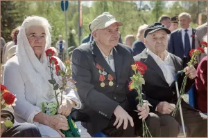 Портфолио